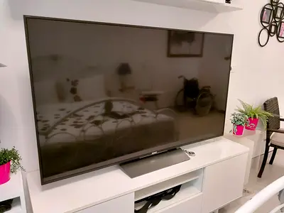 SONY 65INCH TV