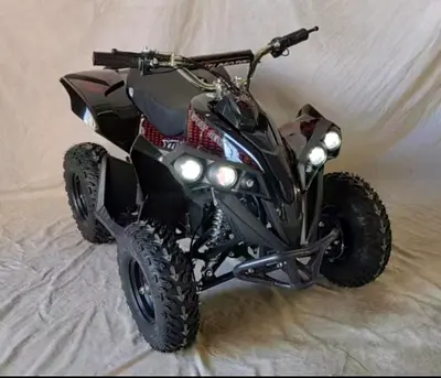 Electric Quad Bike 1000W 48V ATV-6″ WHEELS Black