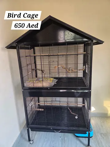 Bird Cage