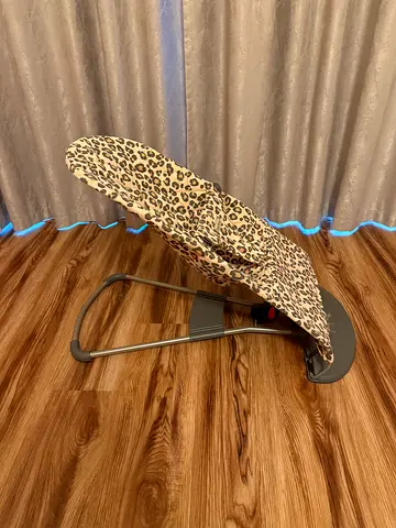 BabyBjorn bouncer