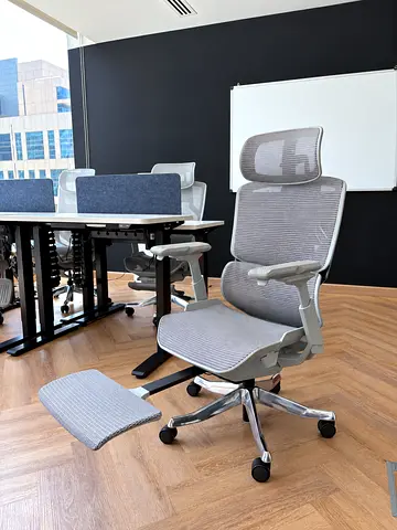 Ergonomic Office Chair with footrest