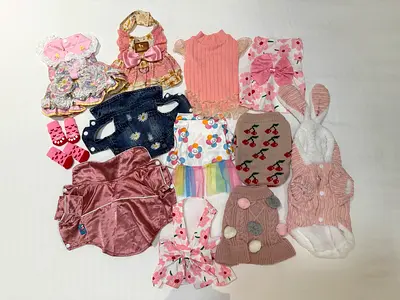 Clothes for dog