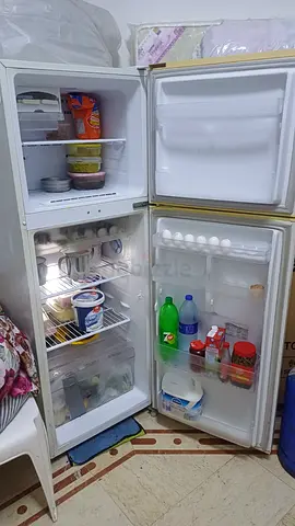 Refrigerator two doors