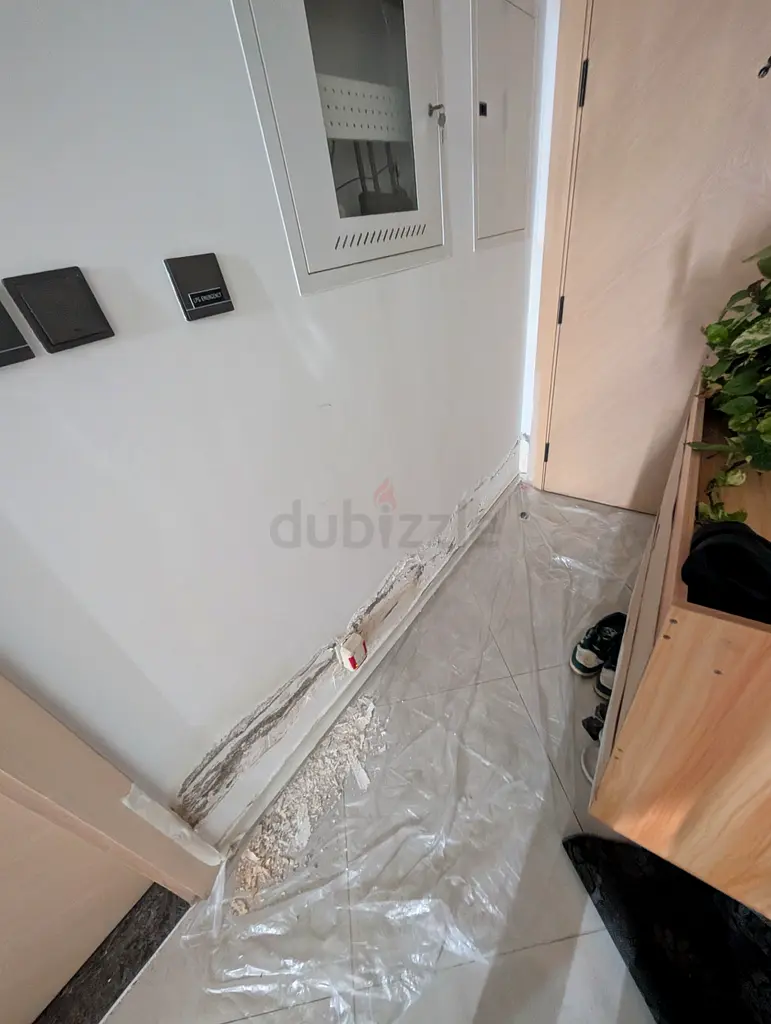 DPV_View_Image_0
