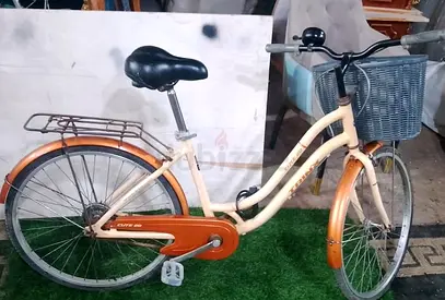 Trinx ladies city bike lightweight. Italian design