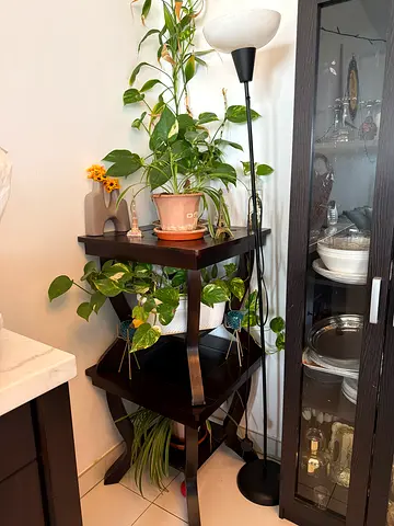 Dark wood corner side table / plant stand - good condition