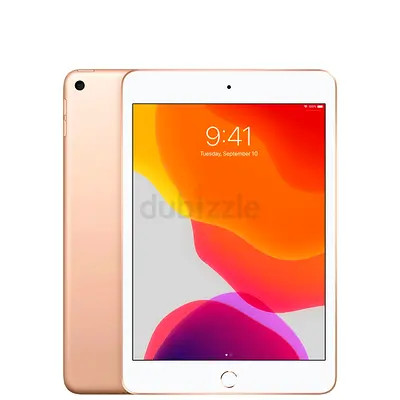 Apple IPad mini 5TH Generation 256GB