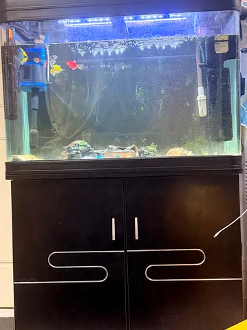 Aquarium with Cabinet, Fish & Accessories – AED 650