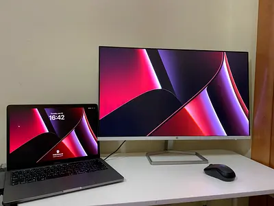 HP Monitor