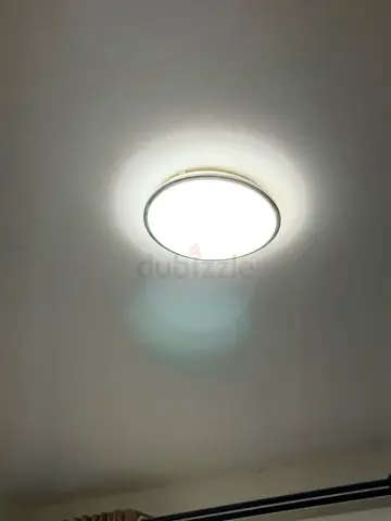 Ceiling light