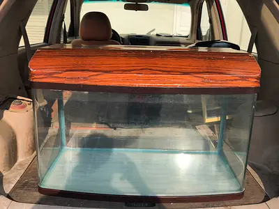 Used 60-80cm Glass Fish Tank with Wooden Hood - Good Condition
