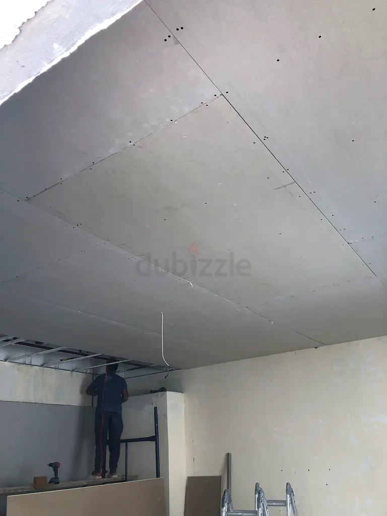 DPV_View_Image_2