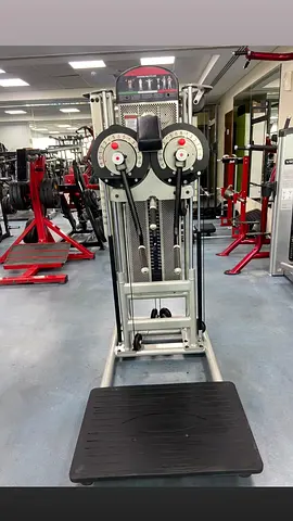 Standing Multi-Flight / Lateral Raise & Press Machine Panatta