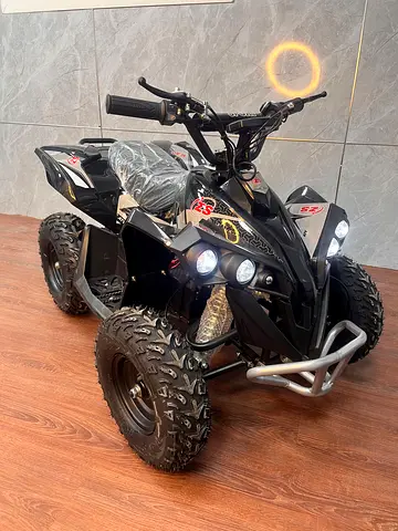 A7-004E 1000W 48V Kids Electric Quad Bike (ATV)