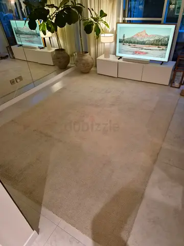 Westelm area rug 300 x 250 cm