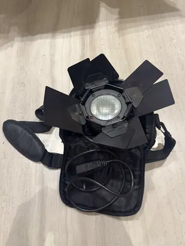 Lowel Pro-light Tungsten Light with Barn Doors + Bag