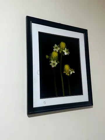 Wall decor