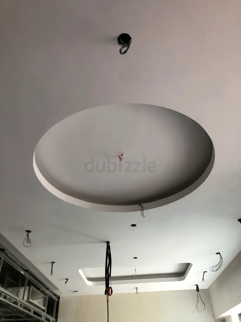 DPV_View_Image_2