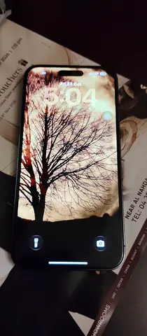 iPhone 14 Pro Max - Good Working Condition
