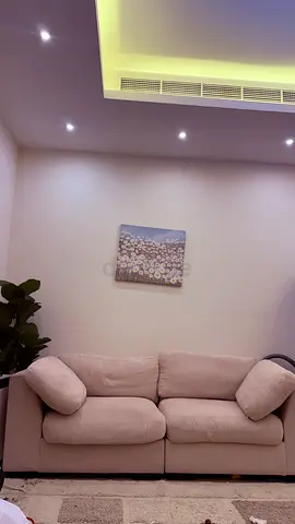 Urgent selling soft and cozy branded sofa
