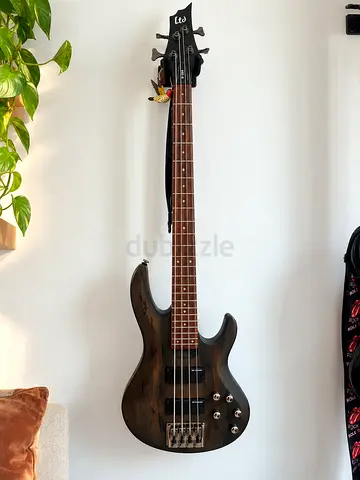 Electric Bass guitar