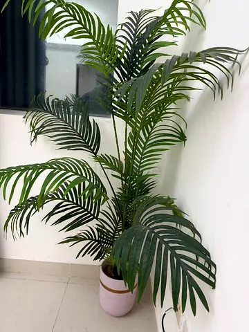 Tall Artificial Palm Plant in White Pot - Urgent Sale