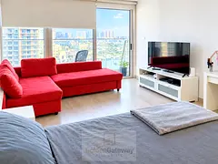 FULLY FURNISHED| PARK VIEW| STD WITH BALCONY|