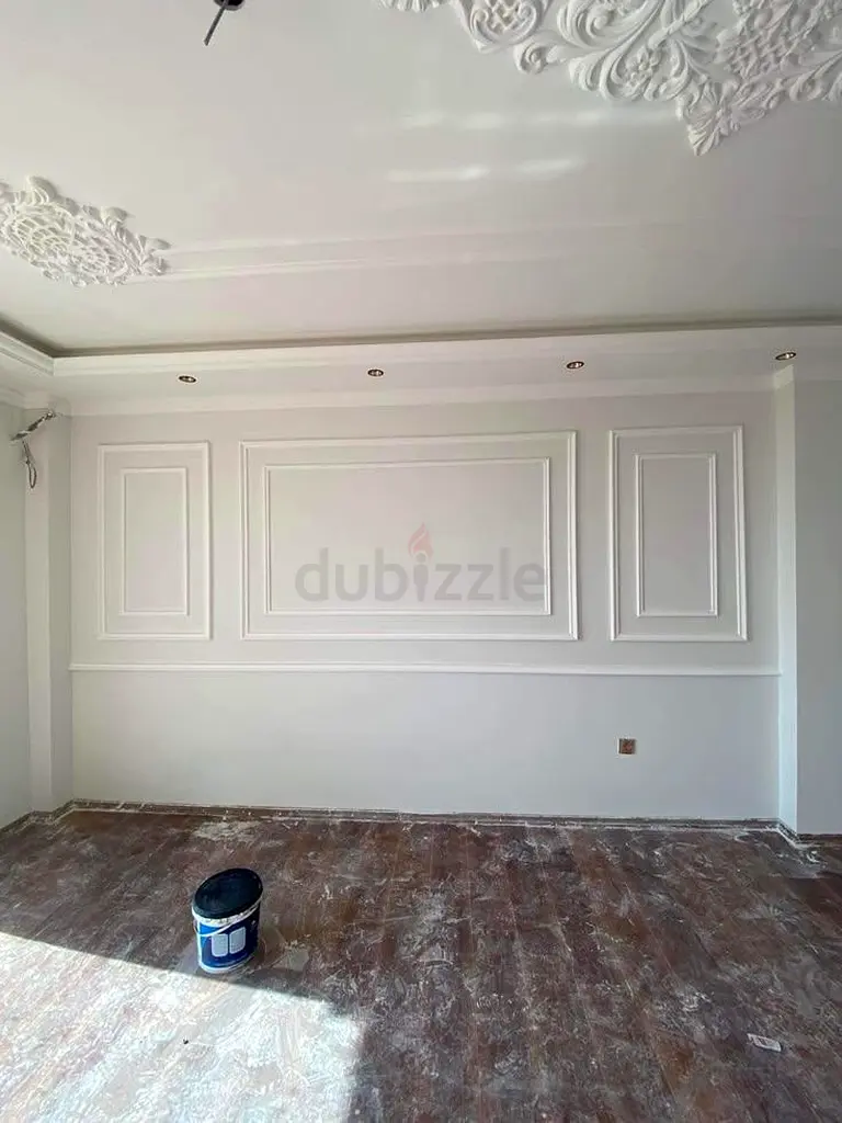 DPV_View_Image_2