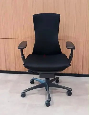 Herman miller embody office chair