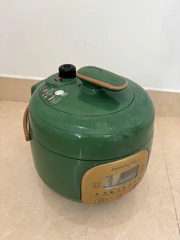 Green Electric Multi Cooker / Rice Cooker (Used)