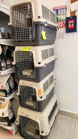 Cats and dogs carriers for air travel with metal mesh attached to the create windows