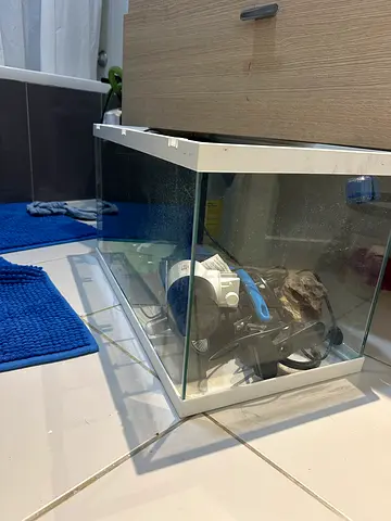 Glass terrarium/tank with powerful water filter, suitable for water turtle