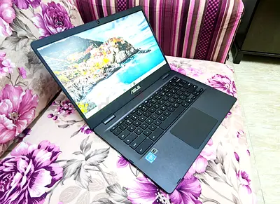 Asus Chromebook C423NA-BCLN5_Intel Celeron N3350_RAM 4GB_SSD 32GB_Intel HD Graphics 500