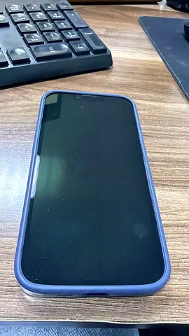iPhone 13 Pro - 256 GB - TDRA