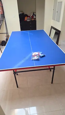 Used Blue Indoor Table Tennis / Ping Pong Table - Foldable