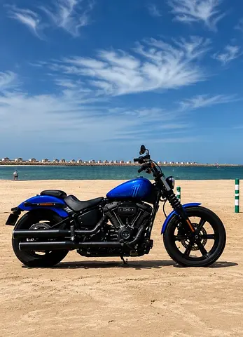 Street Bob FXBB 2019 GCC