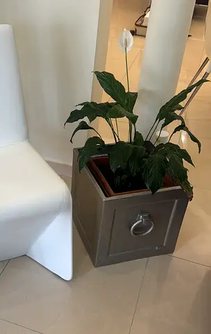 x2 MARINA HOME metal planters 41x41x41 cm