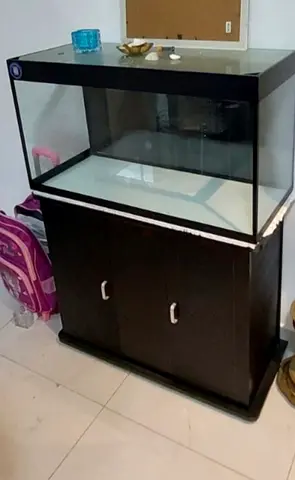 Large Fish Tank with Cabinet Stand & Accessories – AED 550