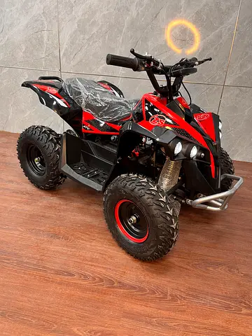 A7-004E 1000W 48V Kids Electric ATV Quad Bike,