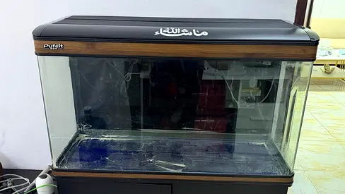 Used 80-100cm Glass Aquarium Tank with Hood