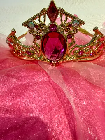 Princess Aurora (sleeping beauty) costume