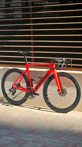 Road bike GIANT Propel 2023 (M)