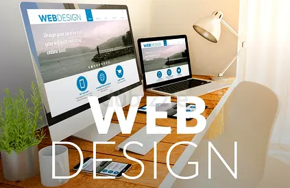 Website Design at AED 499