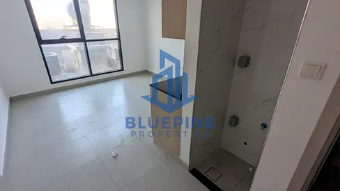 Studio Apartments for Rent | Al Karama, Dubai | Multiple Units Available Welcome to BLUE PINE PROPERTIES L.L.C.