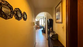 Executive Male Flatmate Needed
