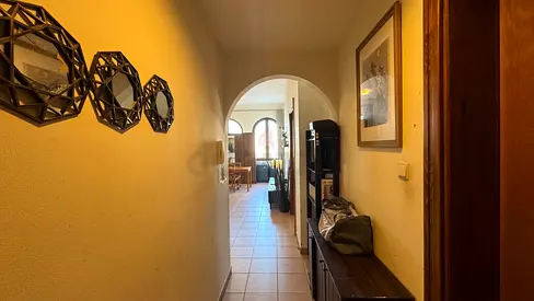 Executive Male Flatmate Needed