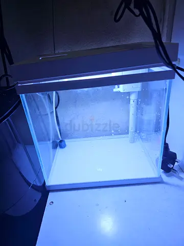 Small glass aquarium tank with hood and filter - good condition