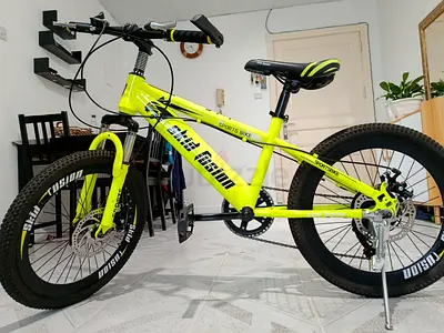 Skid Fusion Kids Cycle 20"