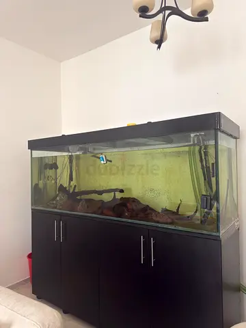 Large Aquarium Tank with Cabinet and Hood