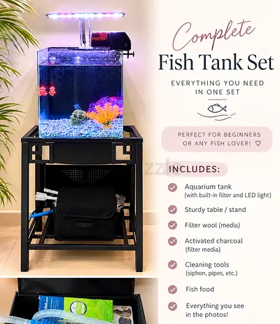 Premium Aquarium Setup for Sale – Complete Package with Automatic Fish Feeder!